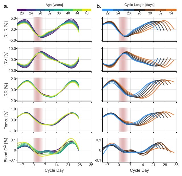 Daily biometrics across the cycle, by age and cycle length